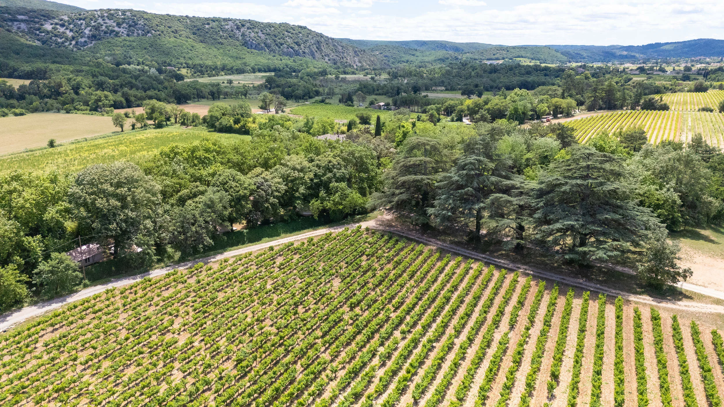 Domaine-40ha-nature-coucouzac